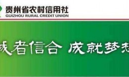 信用社最新爆料新闻,揭秘金融领域重大内幕